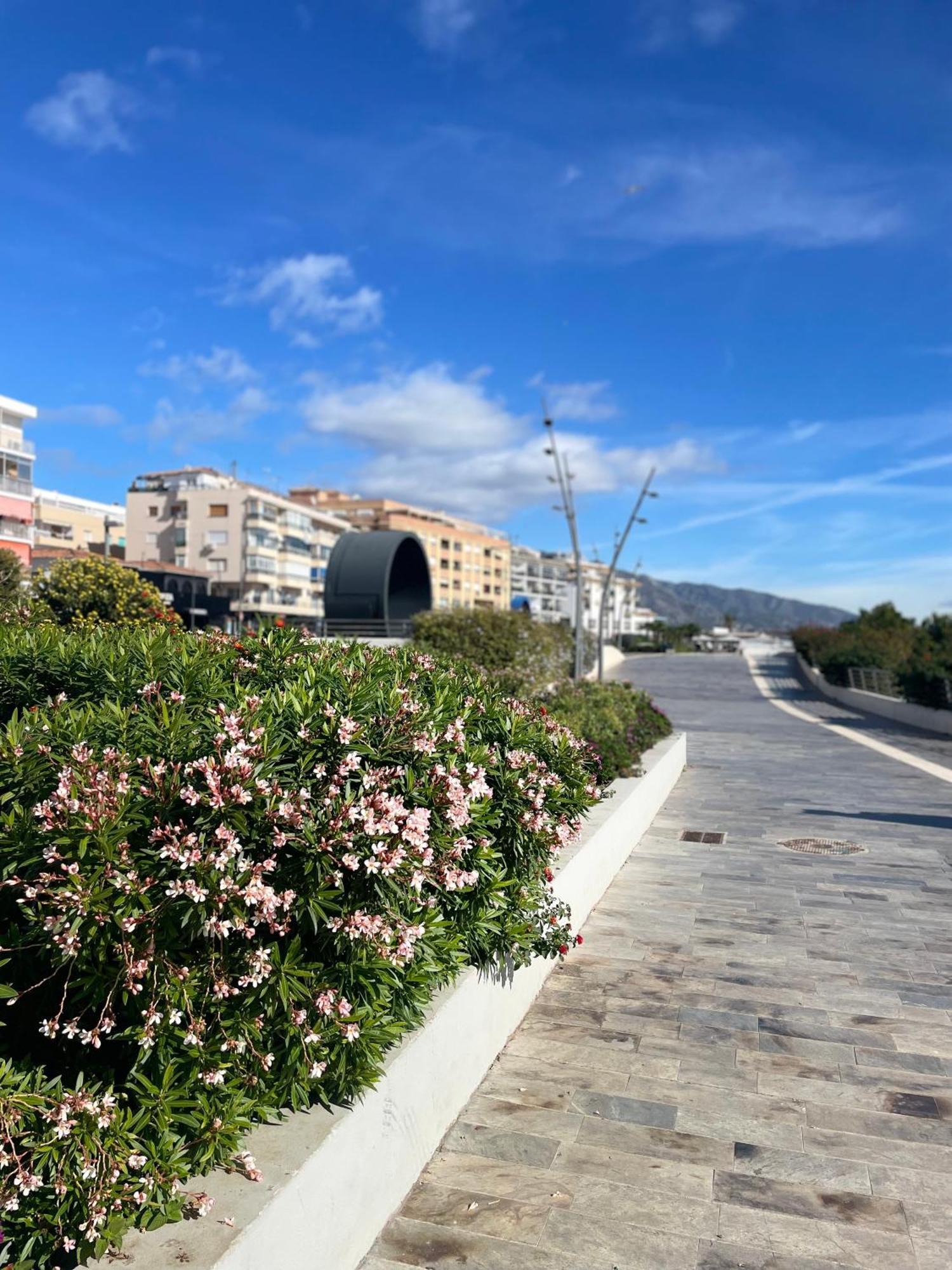 Appartamento Casa Rosa Nova